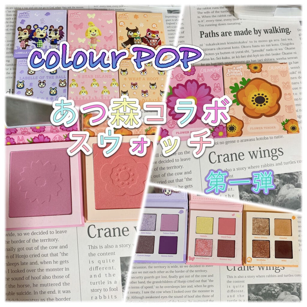 what a hoot/ColourPop/アイシャドウパレットを使ったクチコミ(1枚目)