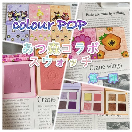 what a hoot/ColourPop/アイシャドウパレットを使ったクチコミ(1枚目)