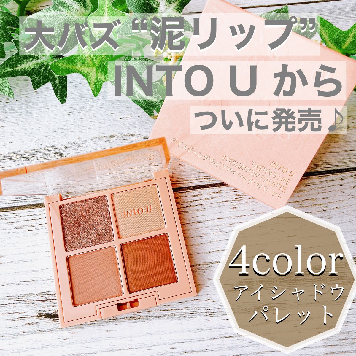 テイスティングライフアイシャドウパレット/INTO U/アイシャドウパレットを使ったクチコミ（1枚目）