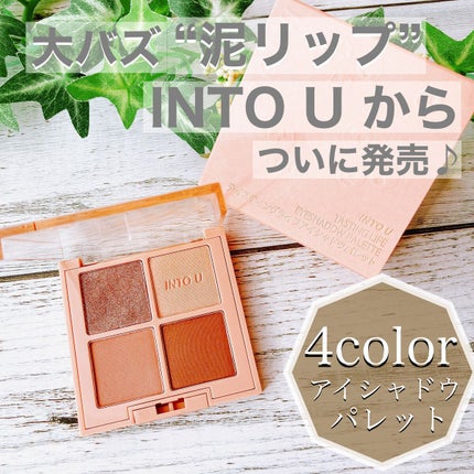 テイスティングライフアイシャドウパレット/INTO U/アイシャドウパレットを使ったクチコミ(1枚目)