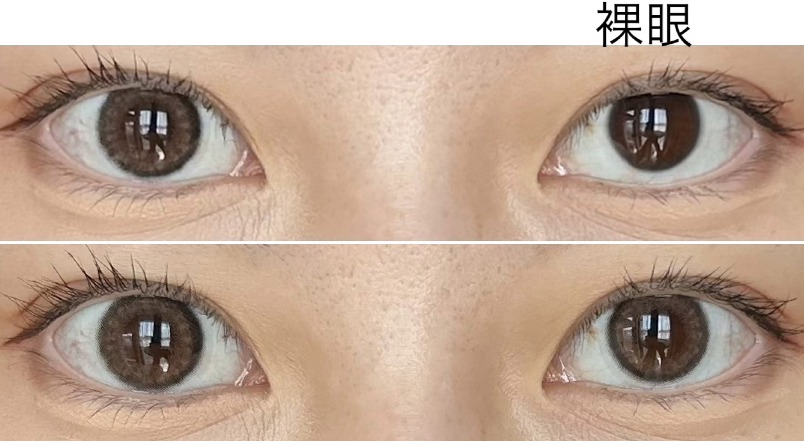 prismel 1day/Prismel/ワンデー（１DAY）カラコンを使ったクチコミ（2枚目）