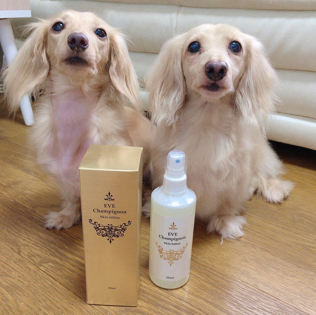 イヴ シャンピニオン / 地球と水と命