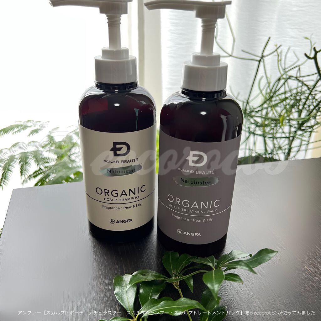 スカルプD ボーテ ナチュラスター スカルプシャンプー/トリートメントパック/アンファー(スカルプD)/シャンプー・コンディショナーを使ったクチコミ(1枚目)