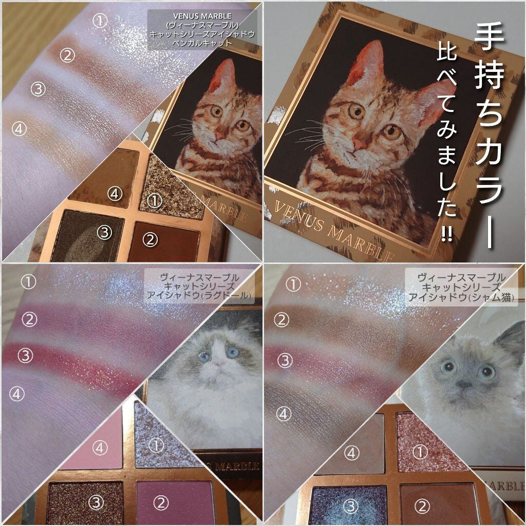 Venus Marble アイシャドウキャットシリーズ/Venus Marble/アイシャドウパレットを使ったクチコミ(6枚目)