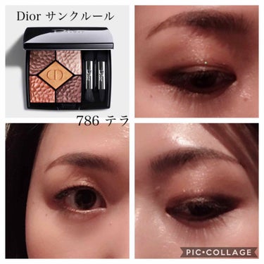 サンク クルール<ワイルド アース＞ 786 テラ/Dior/アイシャドウパレットを使ったクチコミ（1枚目）