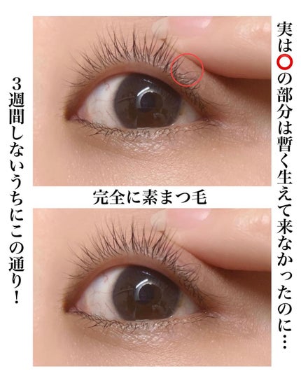 ラッシュリッチアイラッシュセラム/ロート製薬/まつげ美容液を使ったクチコミ(3枚目)