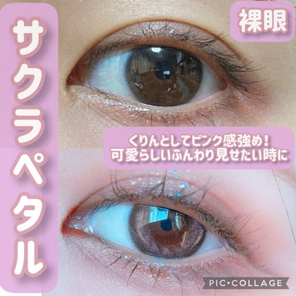 MOLAK 1day/MOLAK/ワンデー(1DAY)カラコンを使ったクチコミ(6枚目)