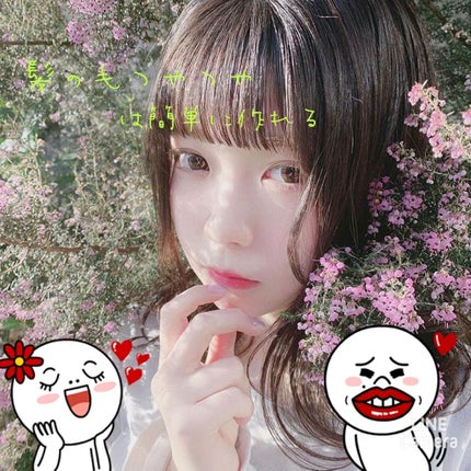 ザ・オリジナル ノーマル/TANGLE TEEZER/ヘアブラシを使ったクチコミ(1枚目)