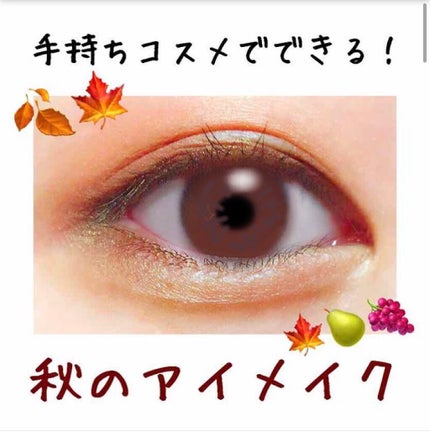 スキニーリッチシャドウ/excel/アイシャドウパレットを使ったクチコミ(1枚目)