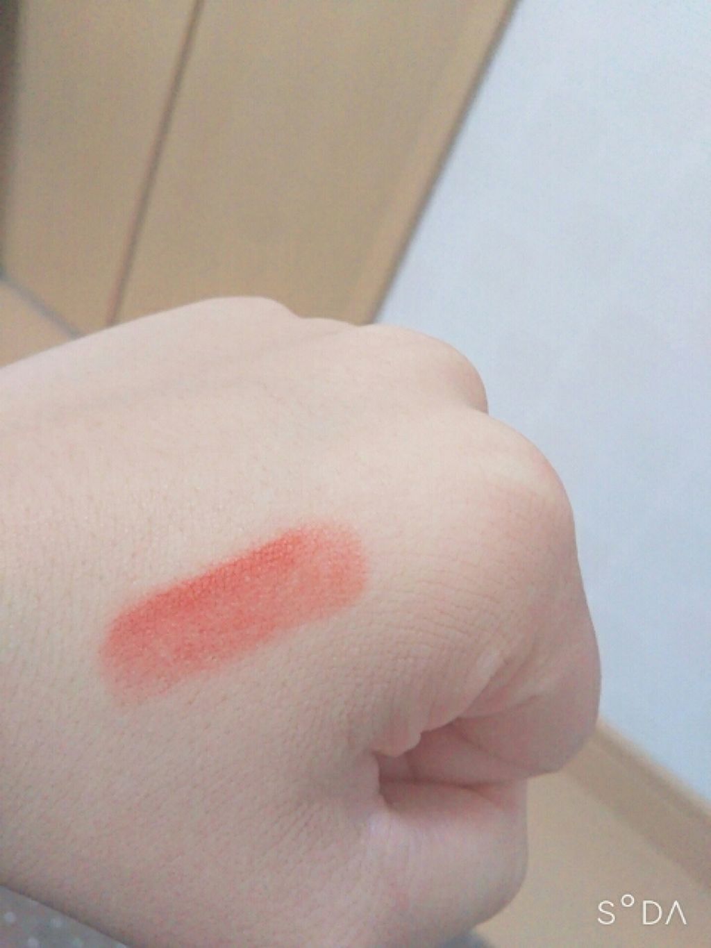 ラスティング リップカラーN/CEZANNE/口紅を使ったクチコミ（3枚目）