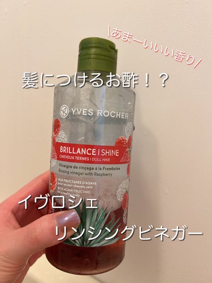 リンシングビネガー シルキーシャイン さらキララズベリー リン リンシングビネガー シルキーシャイン さらキララズベリー リン