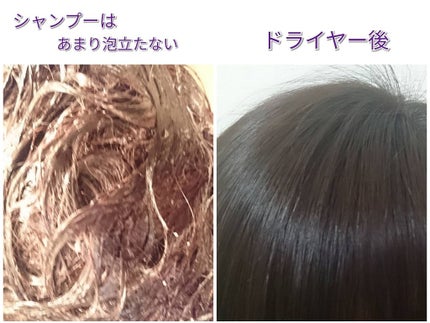 FRAGRANCE SHAMPOO/TREATMENT/MIEUX LUXGEOUS(ミューラグジャス)/市販シャンプーを使ったクチコミ(2枚目)