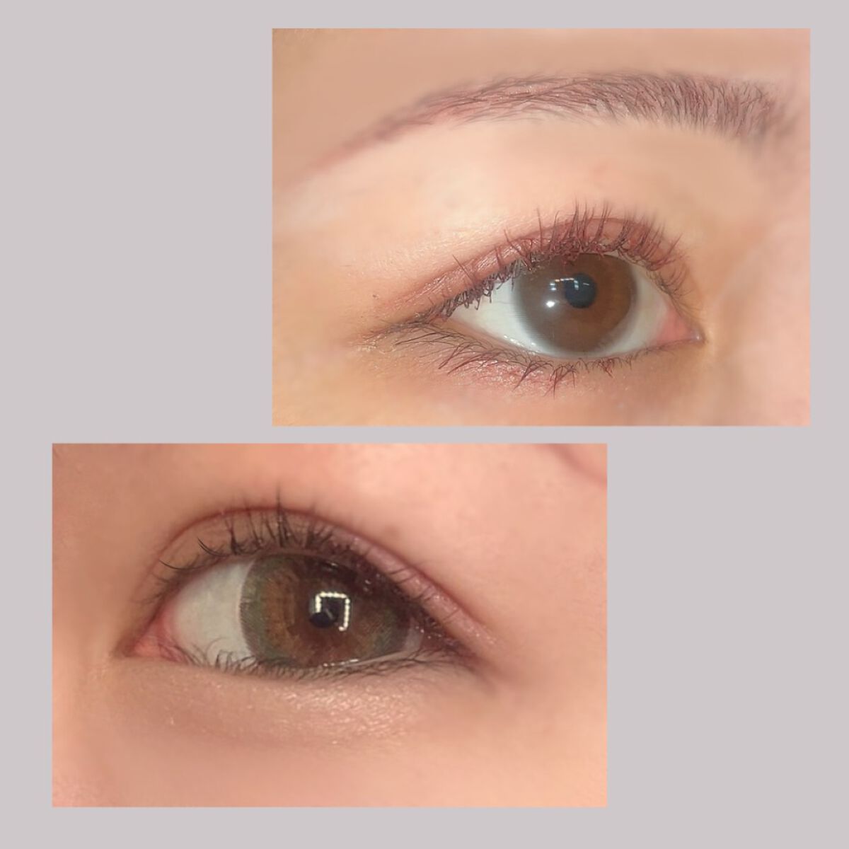 フラッフィー ロング&カール マスカラ/BLEND BERRY/マスカラを使ったクチコミ(4枚目)