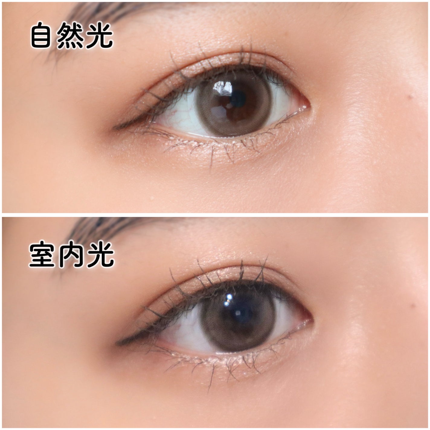 chiffon/meilly/ワンデー(1DAY)カラコンを使ったクチコミ(3枚目)