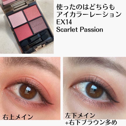 アイカラーレーション/LUNASOL/アイシャドウパレットを使ったクチコミ(5枚目)