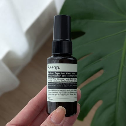 アンドラム エクスペディエントハンドミスト/Aesop/ハンドクリームを使ったクチコミ(1枚目)
