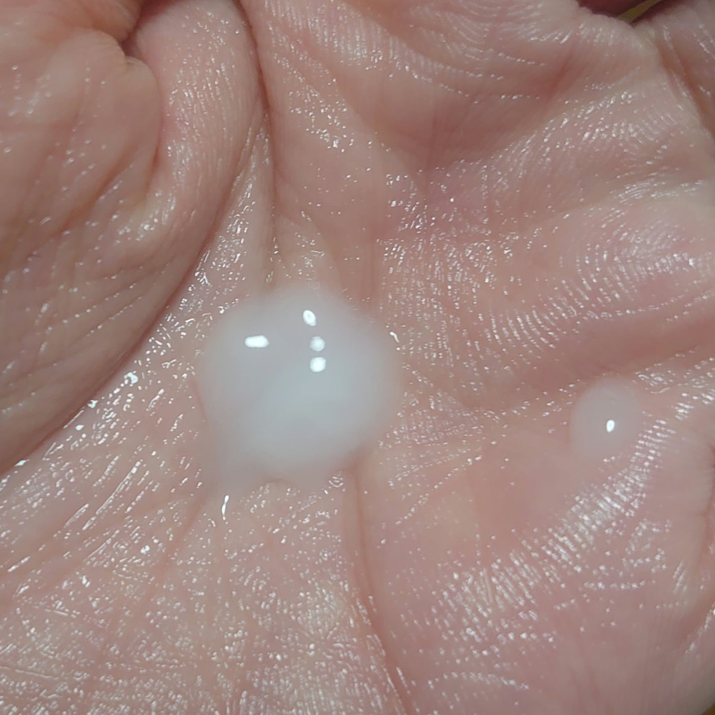 Calming Biotics Ampoule/LEADERS/美容液を使ったクチコミ(4枚目)