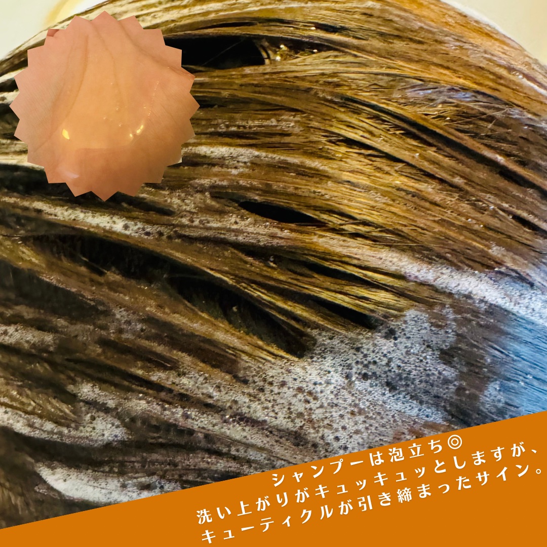 TJ pH5.5 シャンプー＆トリートメント/True jouvencE/市販シャンプーを使ったクチコミ（3枚目）