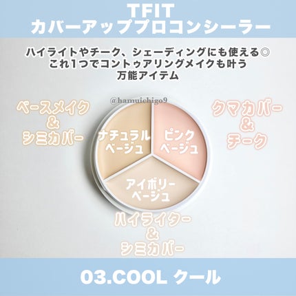 カバーアッププロコンシーラー/TFIT/パレットコンシーラーを使ったクチコミ(2枚目)
