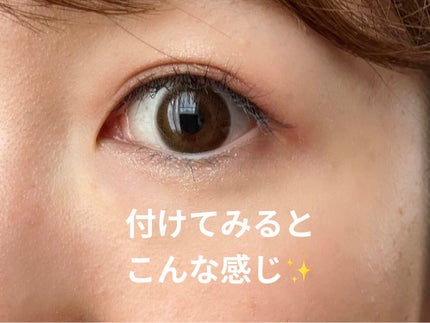 TOPARDS 1day/TOPARDS/ワンデー(1DAY)カラコンを使ったクチコミ(5枚目)