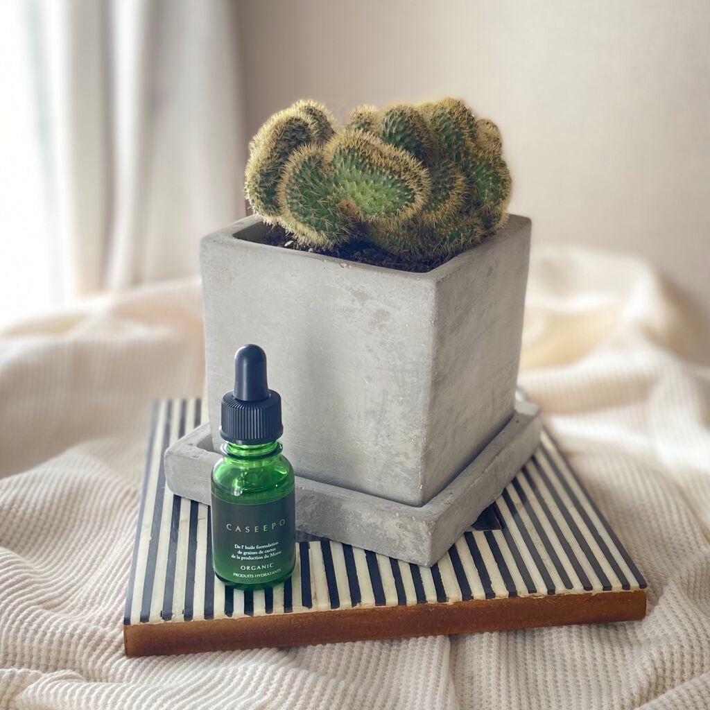 カシーポSPオイル/CASEEPO/フェイスオイルを使ったクチコミ(4枚目)