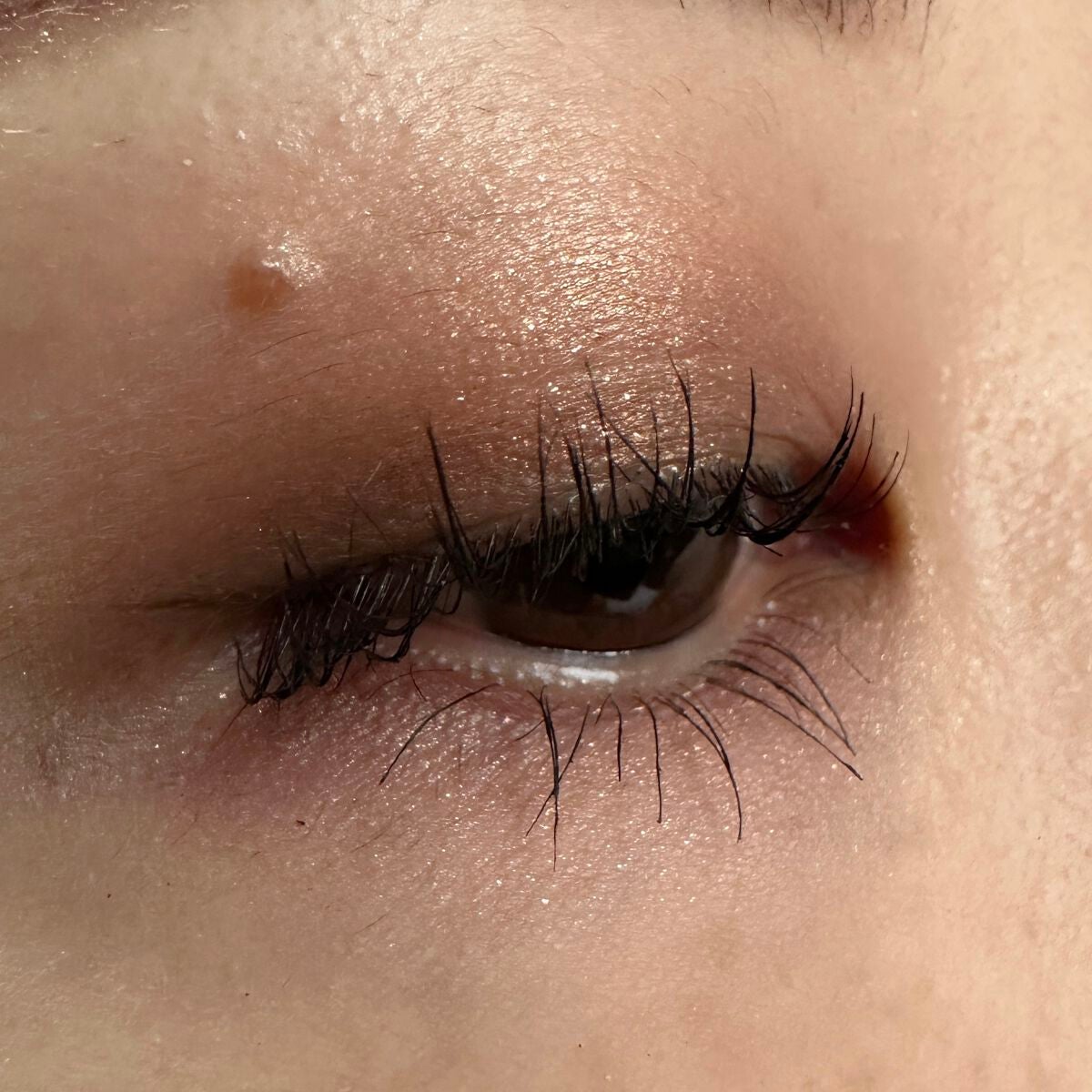 パーフェクトエクステンション マスカラ/D-UP/マスカラを使ったクチコミ(4枚目)