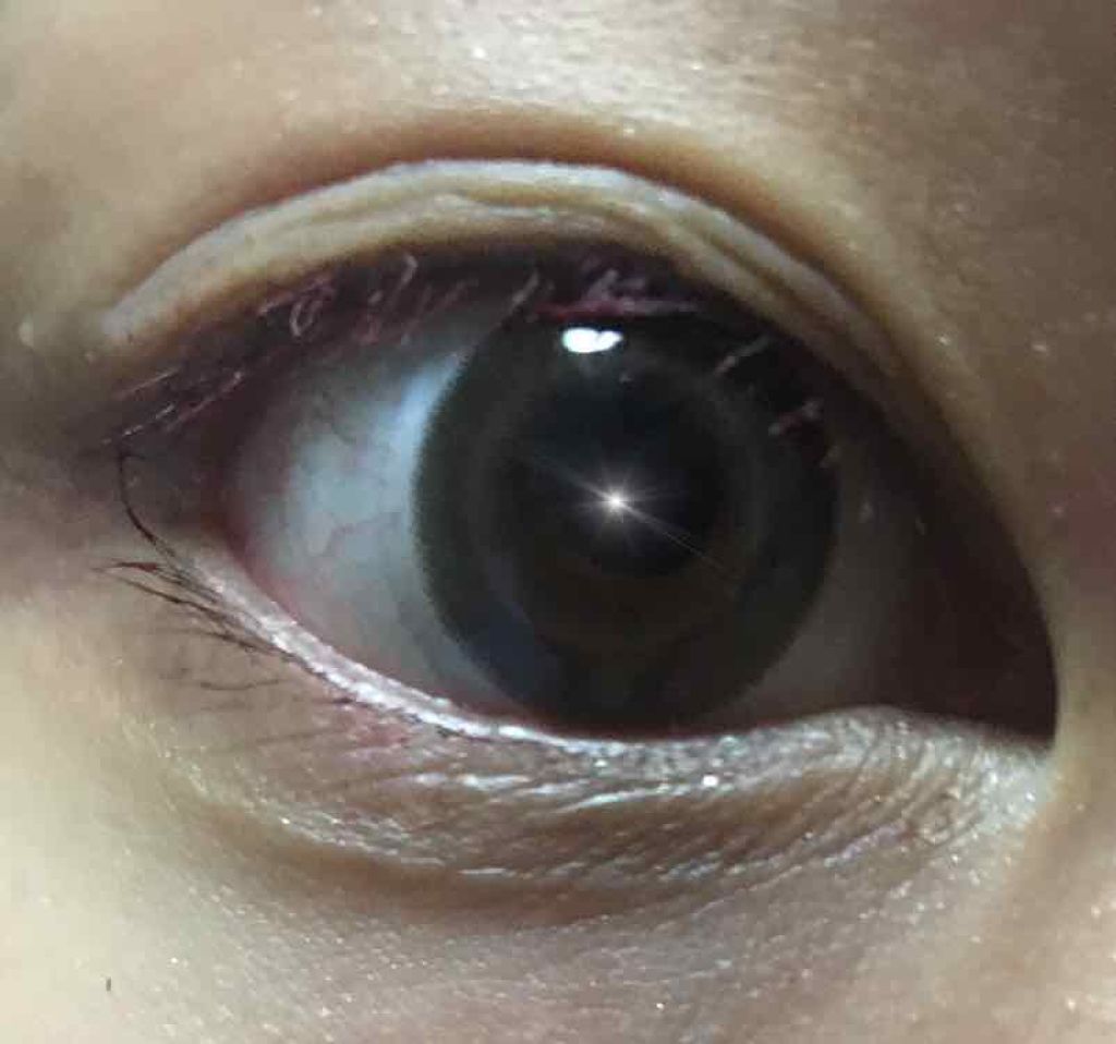 WHY NOT SPINNS マスカラ/DAISO/マスカラを使ったクチコミ(3枚目)