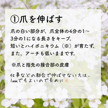 ホホバオイル/無印良品/ボディオイルを使ったクチコミ(3枚目)
