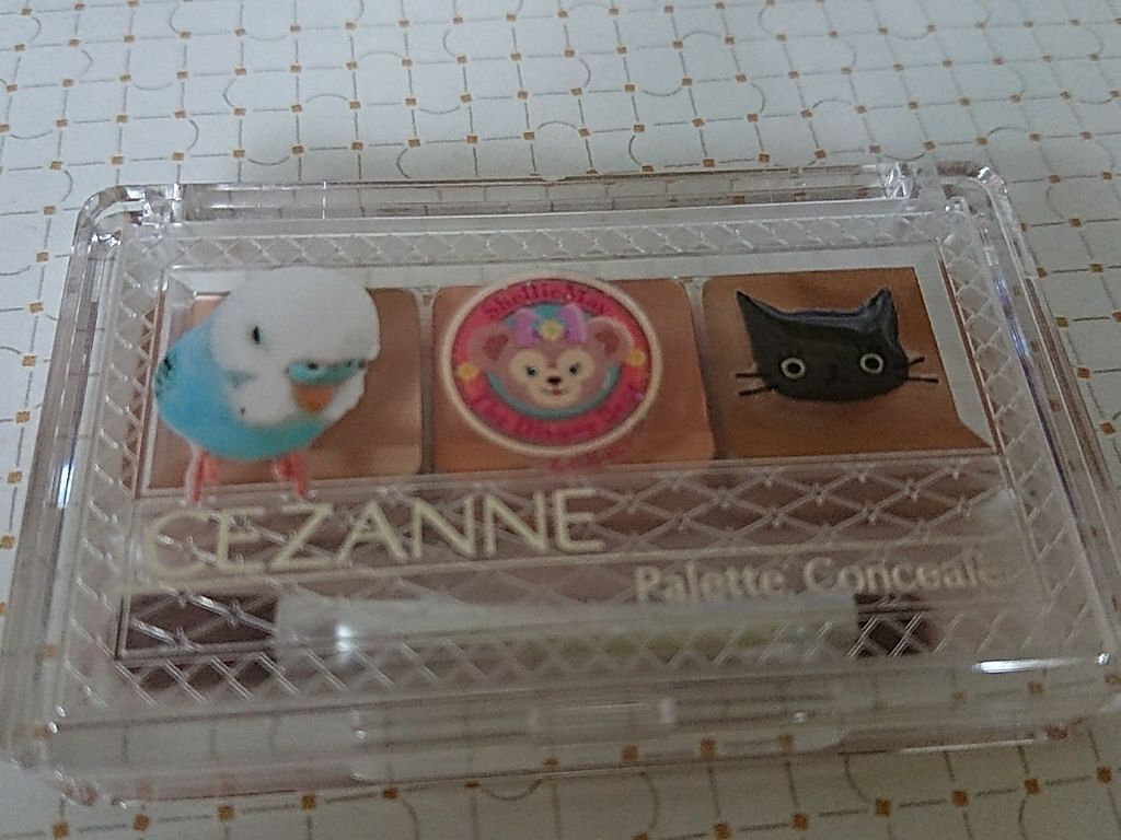 パレットコンシーラー/CEZANNE/パレットコンシーラーを使ったクチコミ(1枚目)