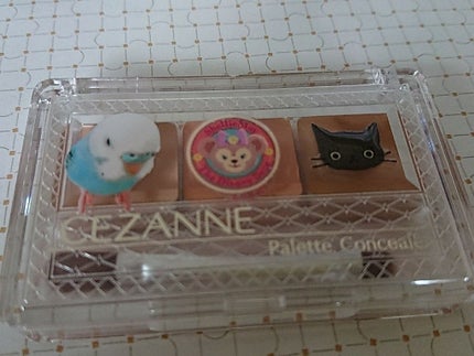 パレットコンシーラー/CEZANNE/パレットコンシーラーを使ったクチコミ(1枚目)