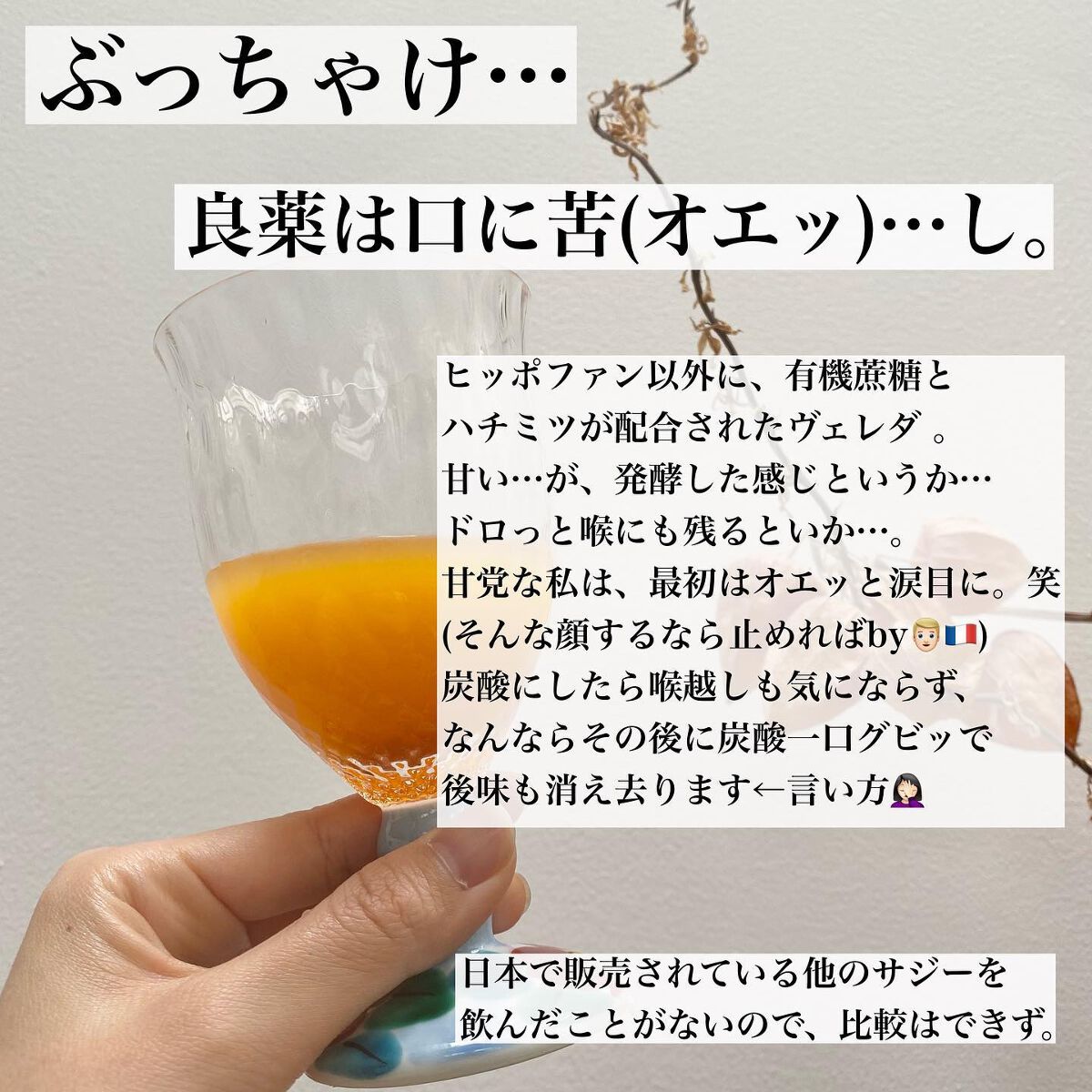 ヒッポファン エリキシール/WELEDA/ドリンクを使ったクチコミ(9枚目)