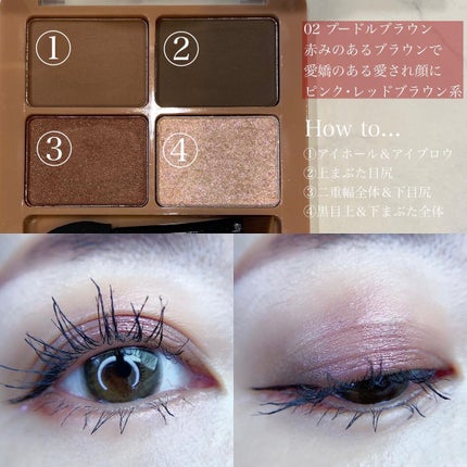 わんだふるアイカラー/KIREI FACTORY/アイシャドウパレットを使ったクチコミ(3枚目)