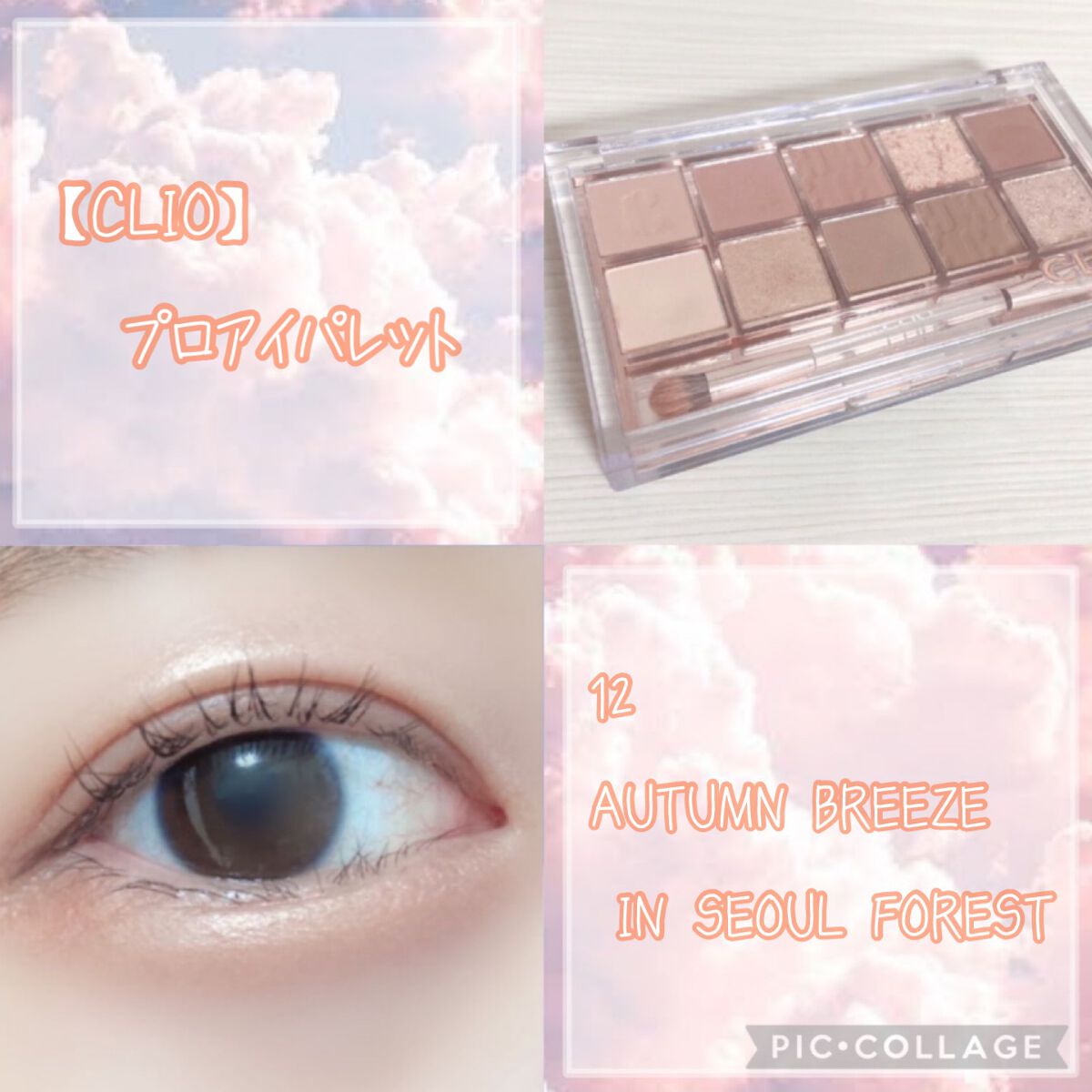 プロ アイ パレット/CLIO/アイシャドウパレットを使ったクチコミ(5枚目)