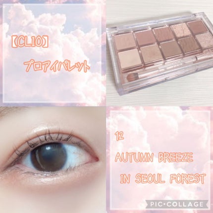 プロ アイ パレット/CLIO/アイシャドウパレットを使ったクチコミ(5枚目)