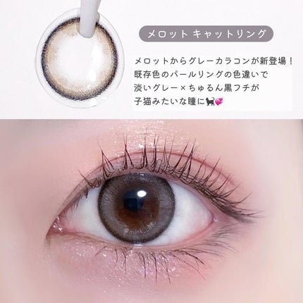 melotte 1day/melotte/ワンデー(1DAY)カラコンを使ったクチコミ(3枚目)