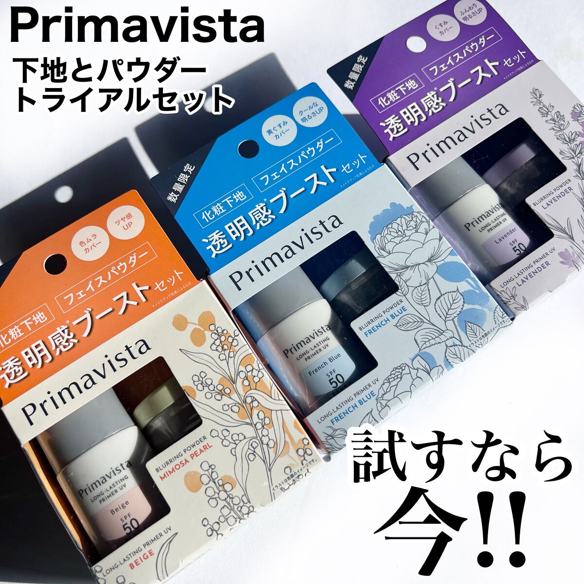 暖色系 【王道!!】ファンデーション 60年~90年代 定番50枚セット