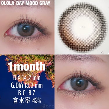 デームードグレーマンスリー (DAYMOOD GRAY monthly)/OLOLA/１ヶ月（１MONTH）カラコンを使ったクチコミ（2枚目）