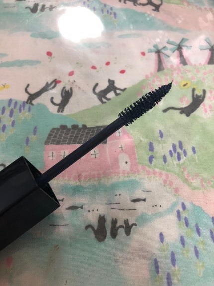 エクストラボリューム カラーマスカラ/Amplitude/マスカラを使ったクチコミ(2枚目)