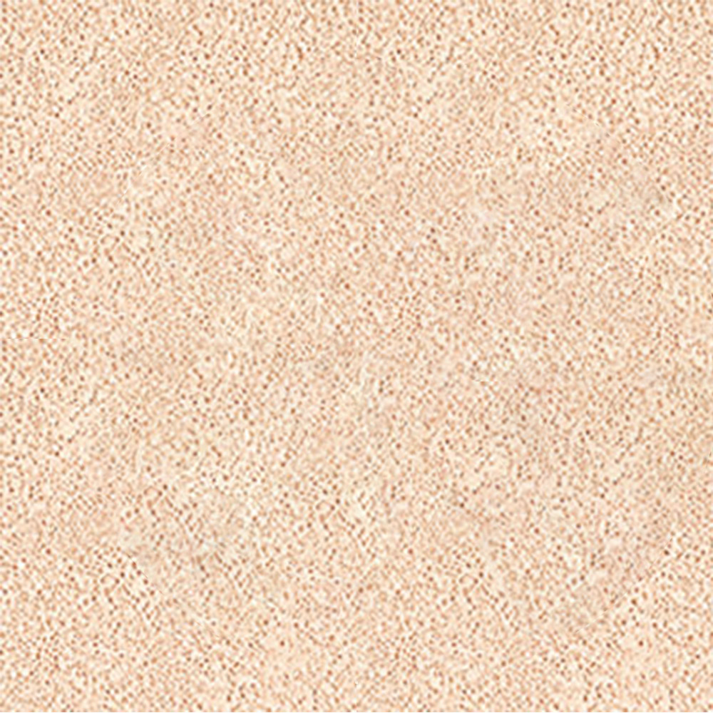 19 フェアライト