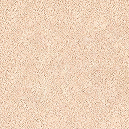 19 フェアライト