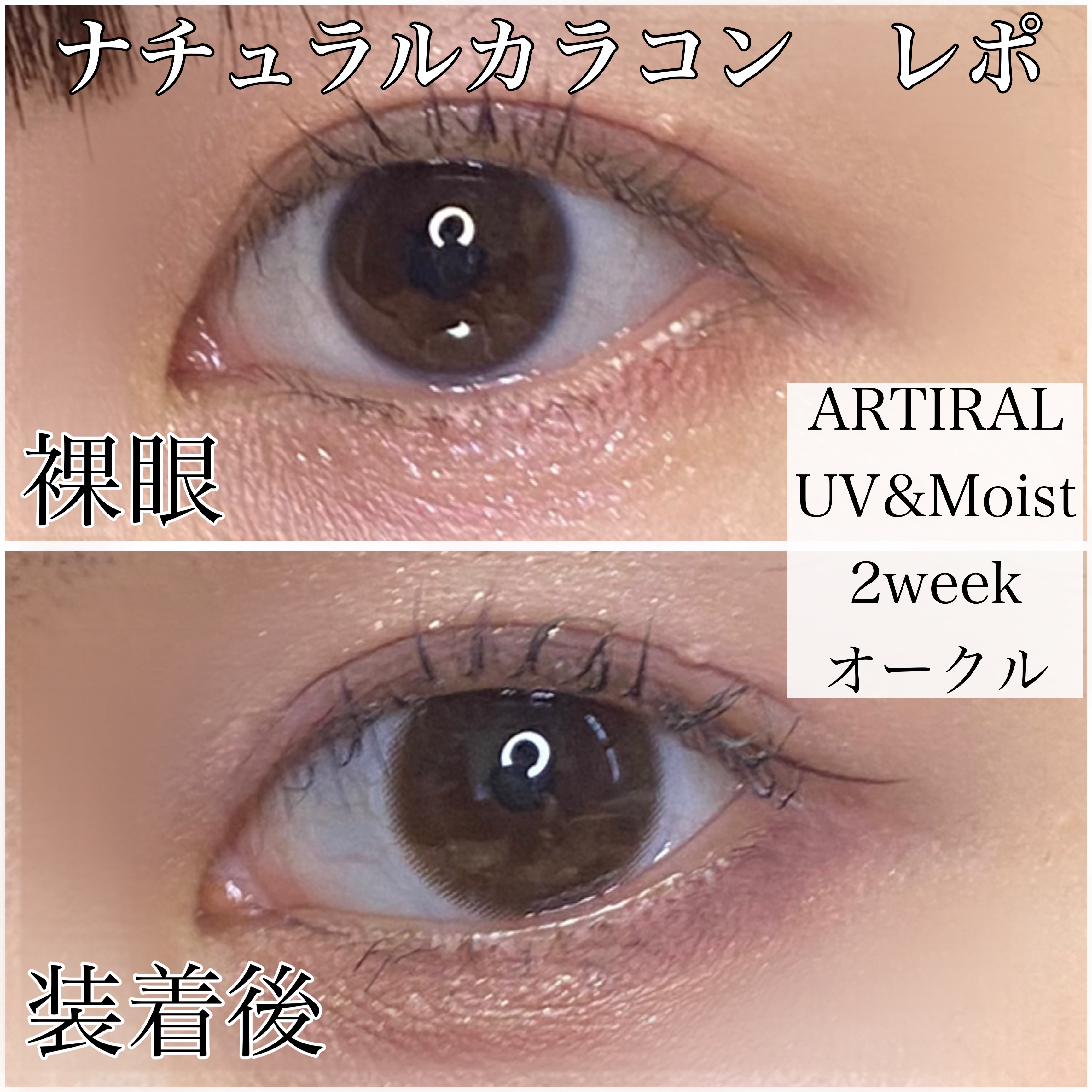 ARTIRAL UV＆Moist 2week /ARTIRAL/２週間（２WEEKS）カラコンを使ったクチコミ（1枚目）
