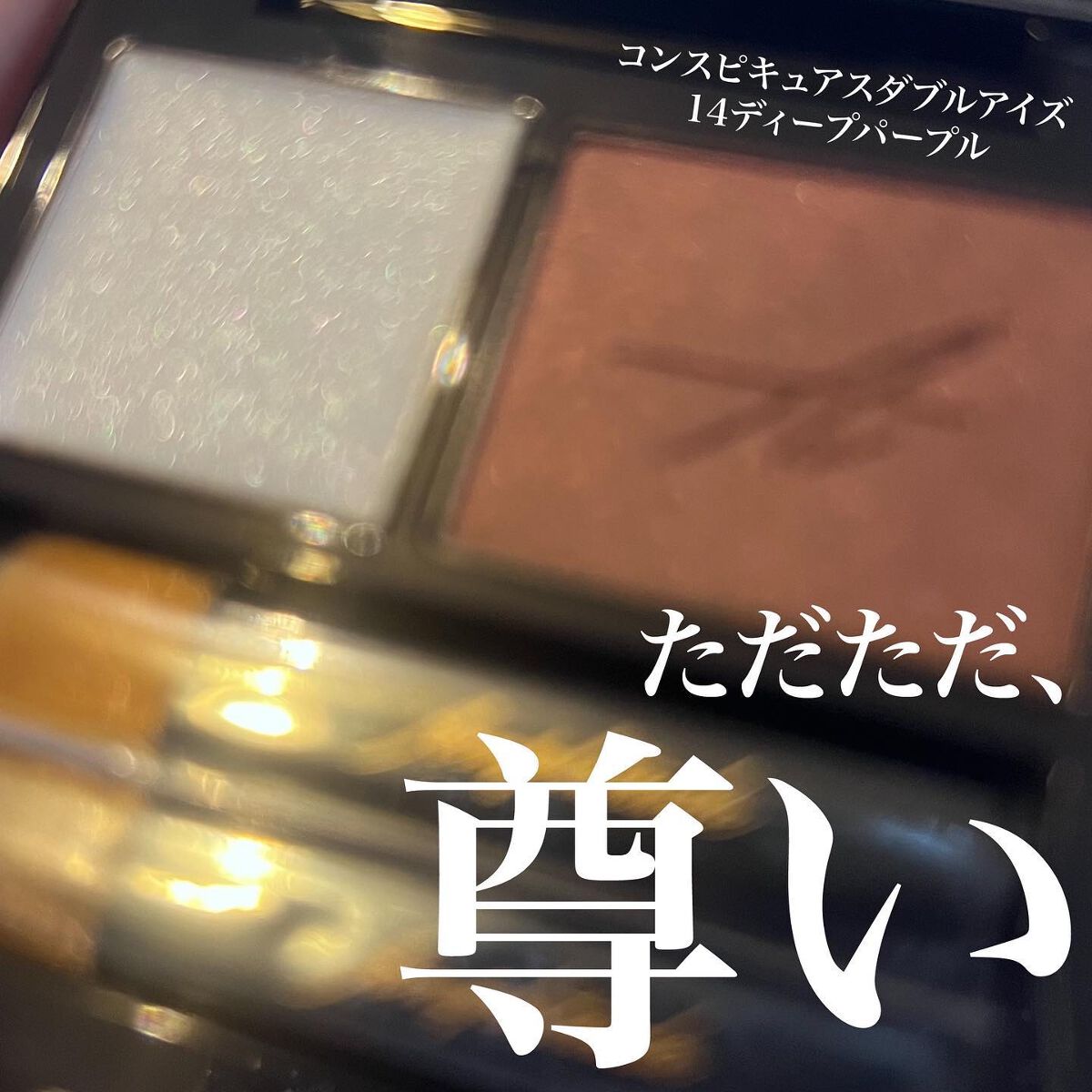 コンスピキュアス ダブルアイズ/Amplitude/アイシャドウパレットを使ったクチコミ（1枚目）