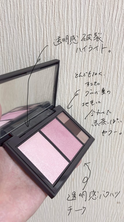 フィット my カラーパレット/STEIASUR(ステイアシュール)/マルチパレットを使ったクチコミ(3枚目)