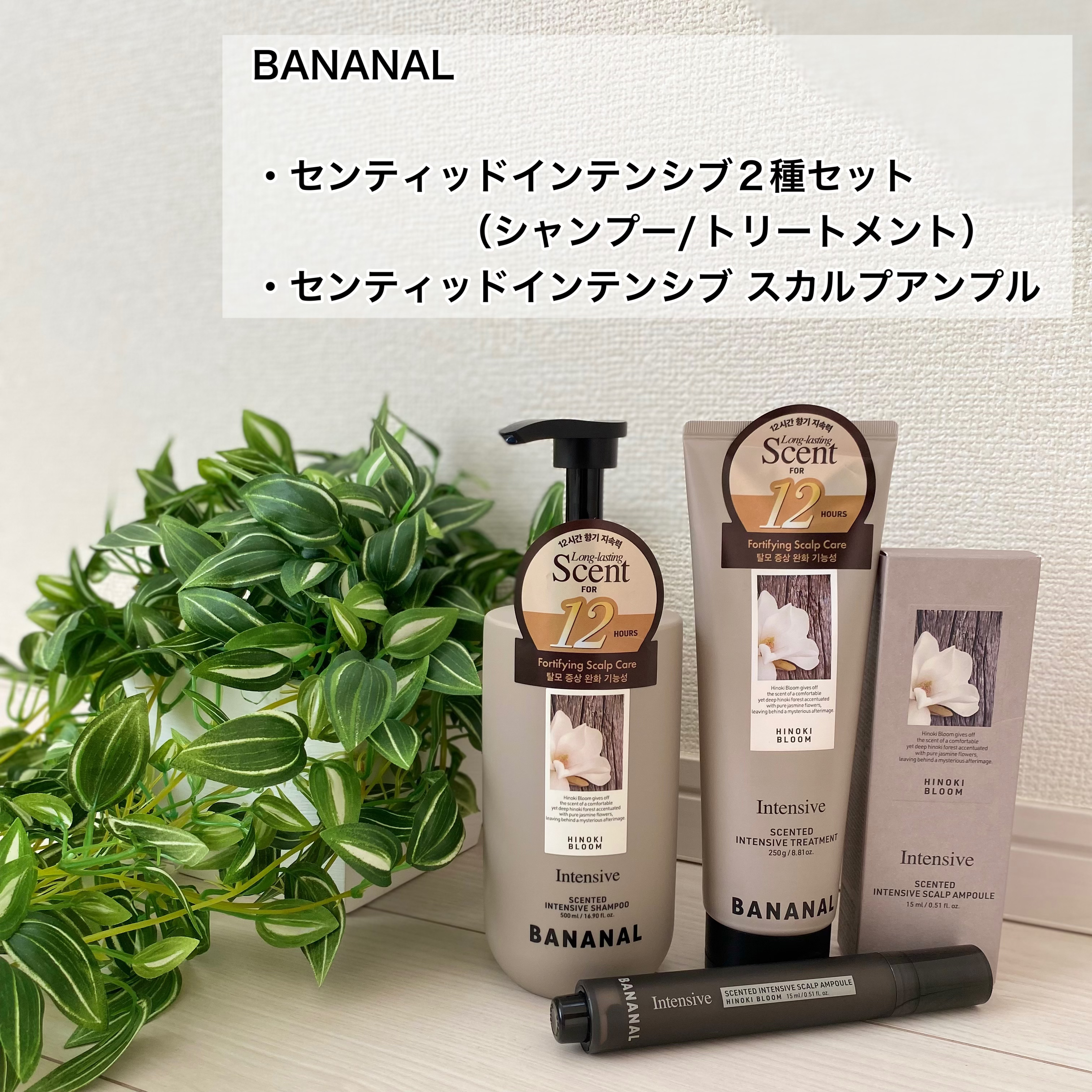 センティッドインテンシブシャンプー&トリートメント/BANANAL/シャンプー・コンディショナーを使ったクチコミ（2枚目）