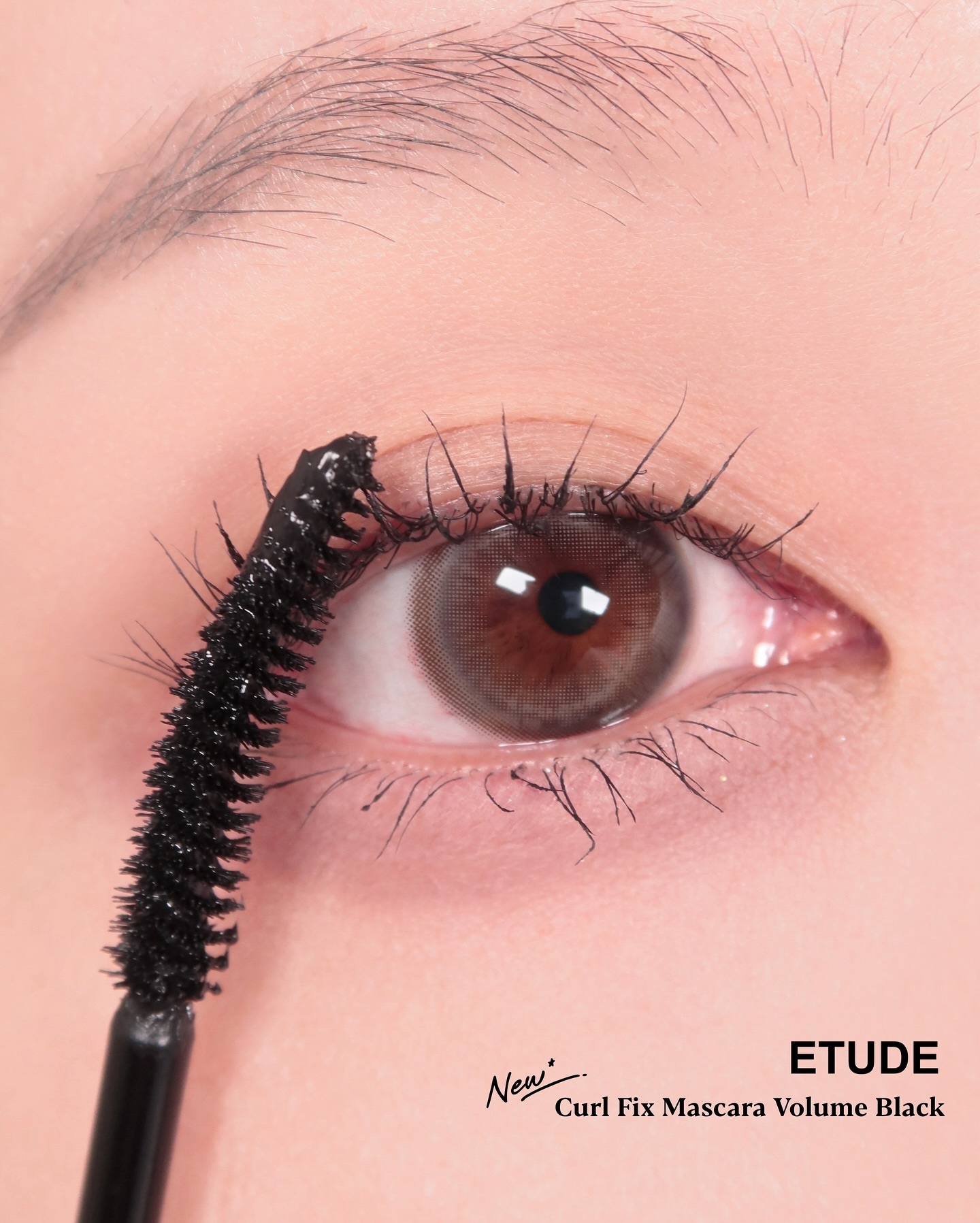 カールフィックスマスカラ/ETUDE/マスカラを使ったクチコミ（1枚目）