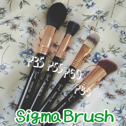 Sigma ブラシセット/Sigma Makeup(海外)/メイクブラシを使ったクチコミ(1枚目)
