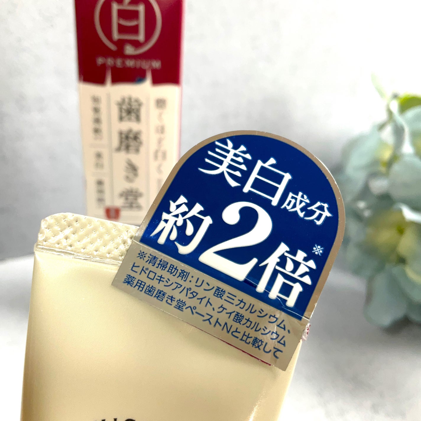 歯磨き堂 薬用ホワイトニングペースト プレミアム/歯磨き堂/歯磨き粉を使ったクチコミ(2枚目)