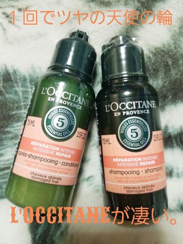 楽して天使の輪が欲しい人必見‼️L'OCCITANEが凄い❤️

【使った商品】
L'OCCITANE
ファイブハーブスリペアリングシャンプー／コンディショナー

【香り】
アロマテックハーブの甘い香り