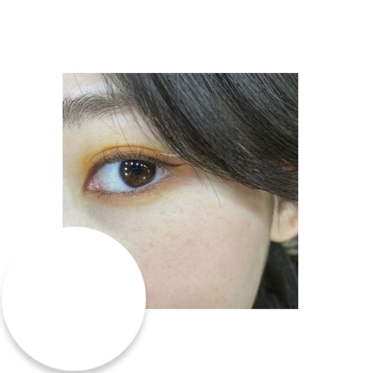 エクスプローラ12色 動物アイシャドウパレット/PERFECT DIARY/アイシャドウパレットを使ったクチコミ（1枚目）