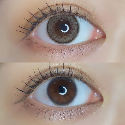 FONDUE/FONDUE(フォンデュ)/カラーコンタクトレンズを使ったクチコミ(5枚目)